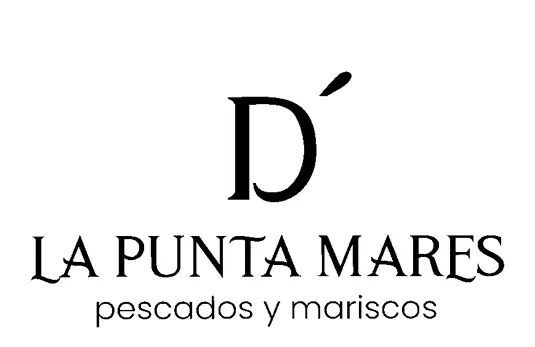 punta logo